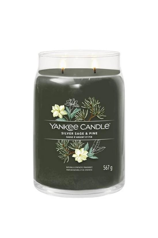 Yankee Silver Sage & Pine Large Jar kvapioji žvakė 567g